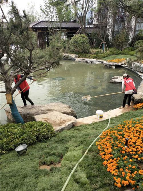 你觉得家政服务为生活提供便利是大势所趋吗？